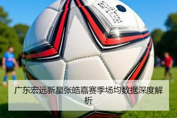 广东宏远新星张皓嘉赛季场均数据深度解析 | Oulu